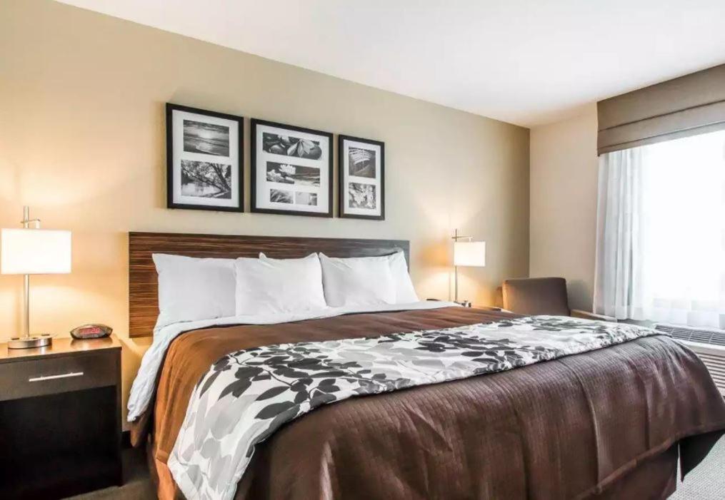 Standard King Room at Sleep Inn & Suites Hannibal West