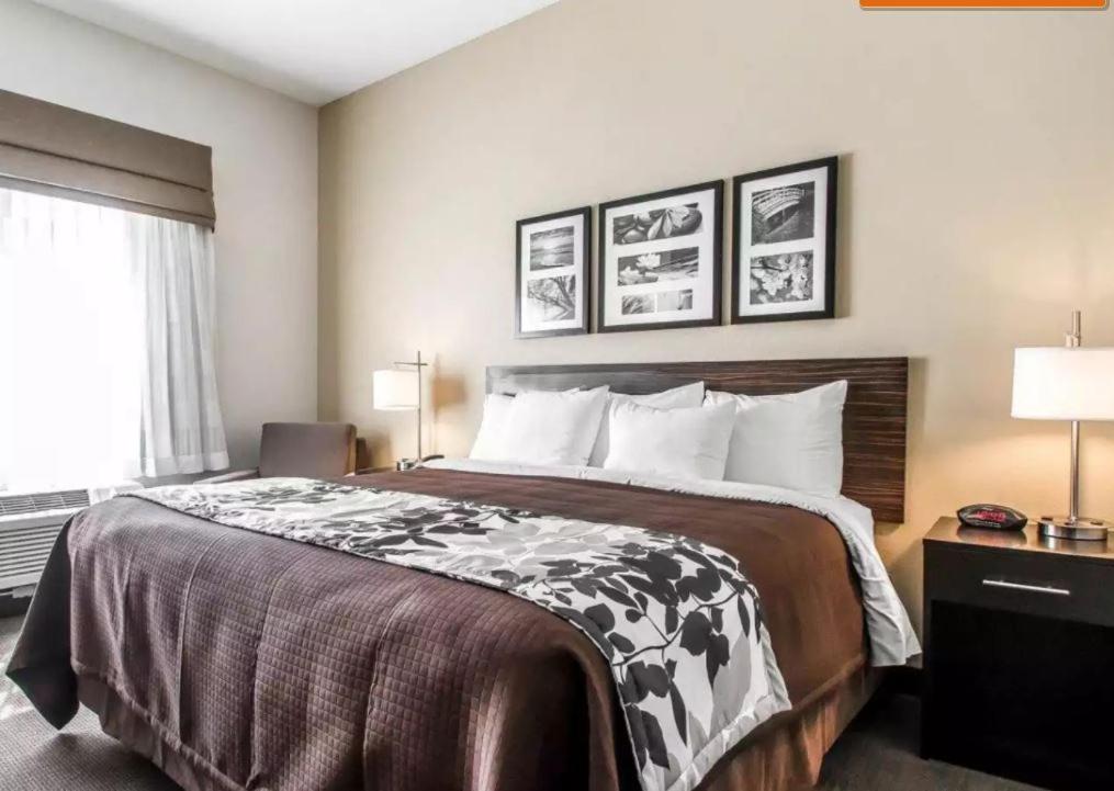 Standard King Room at Sleep Inn & Suites Hannibal West