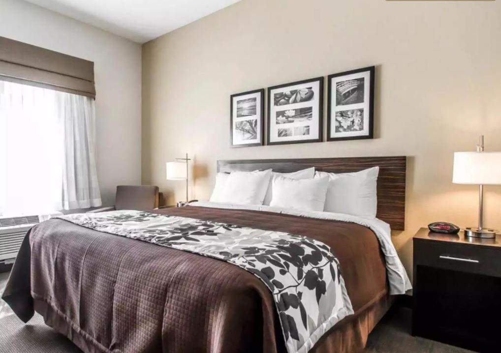 Standard King Room at Sleep Inn & Suites Hannibal West