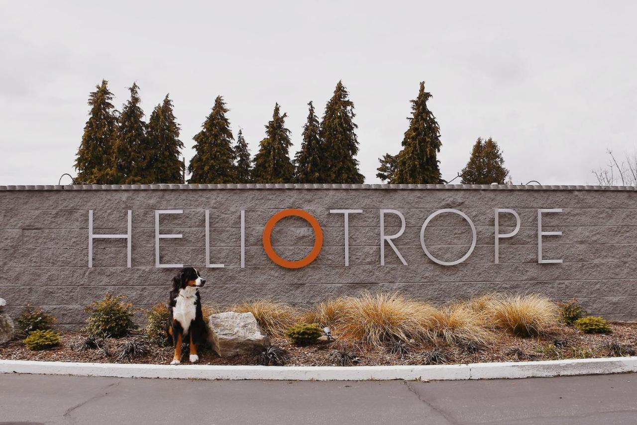 | Heliotrope Hotel