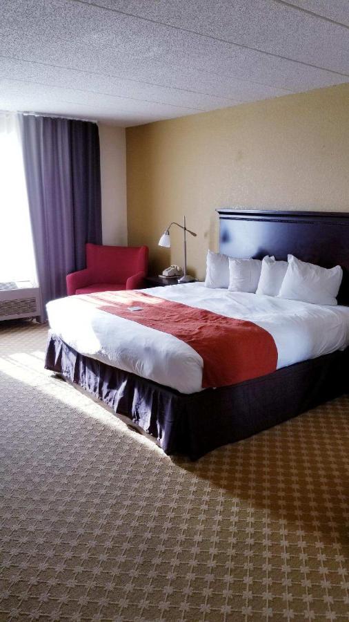 King Room - Disability Access at Quality Inn & Suites