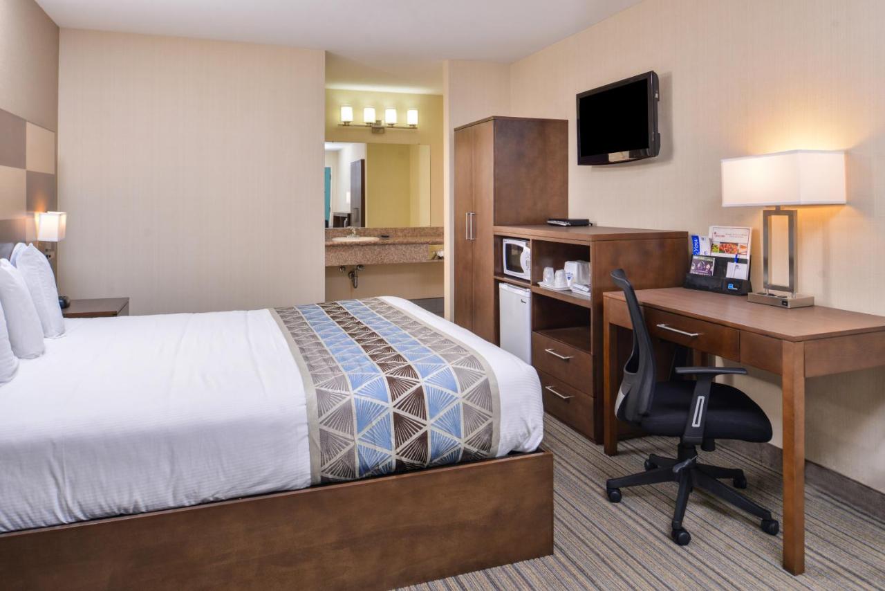 One King Room at Good Living Inn