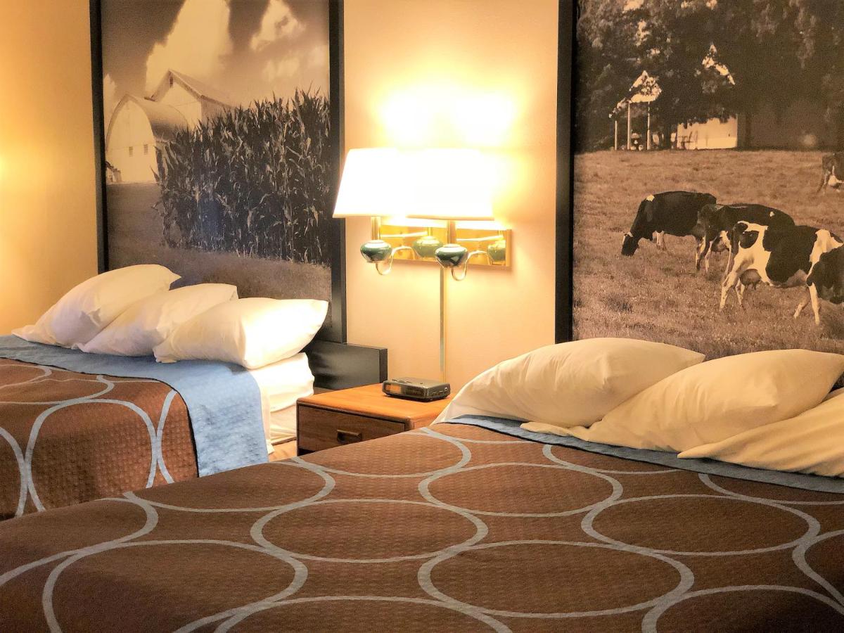 Queen Room with Two Queen Beds - Non-Smoking at Super 8 by Wyndham Dodgeville