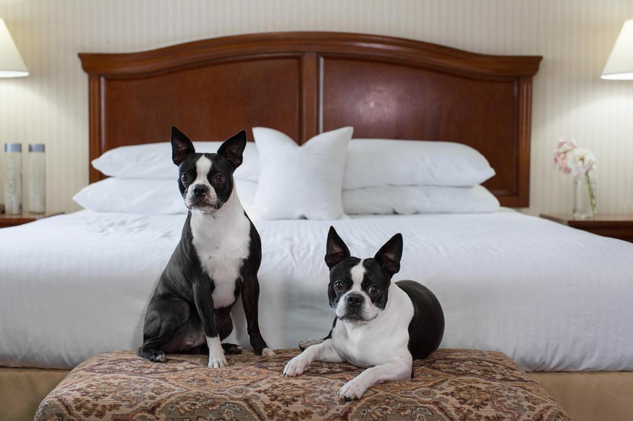 Queen Room with Two Queen Beds at Red Lion Hotel Rogue Regency Medford Airport