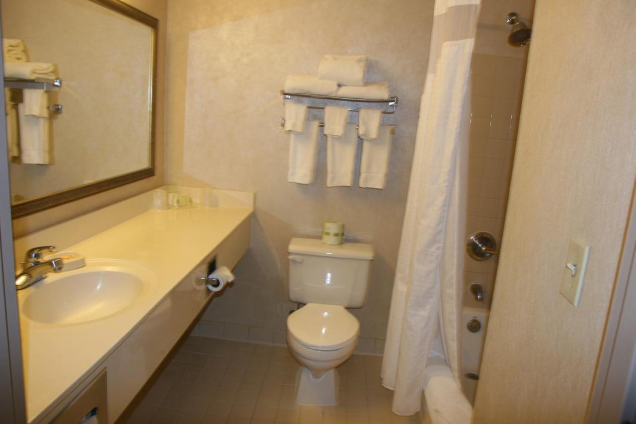 King Suite - Non-Smoking at Holiday Inn Budd Lake - Rockaway Area by IHG