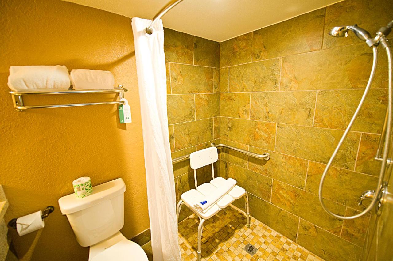 Executive King Suite with Roll In Shower at Hotel d’Lins Ontario Airport