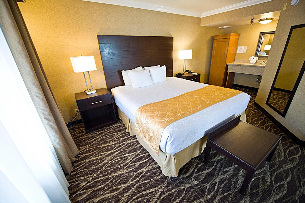 Standard King Room - Courtyard View at Hotel d’Lins Ontario Airport