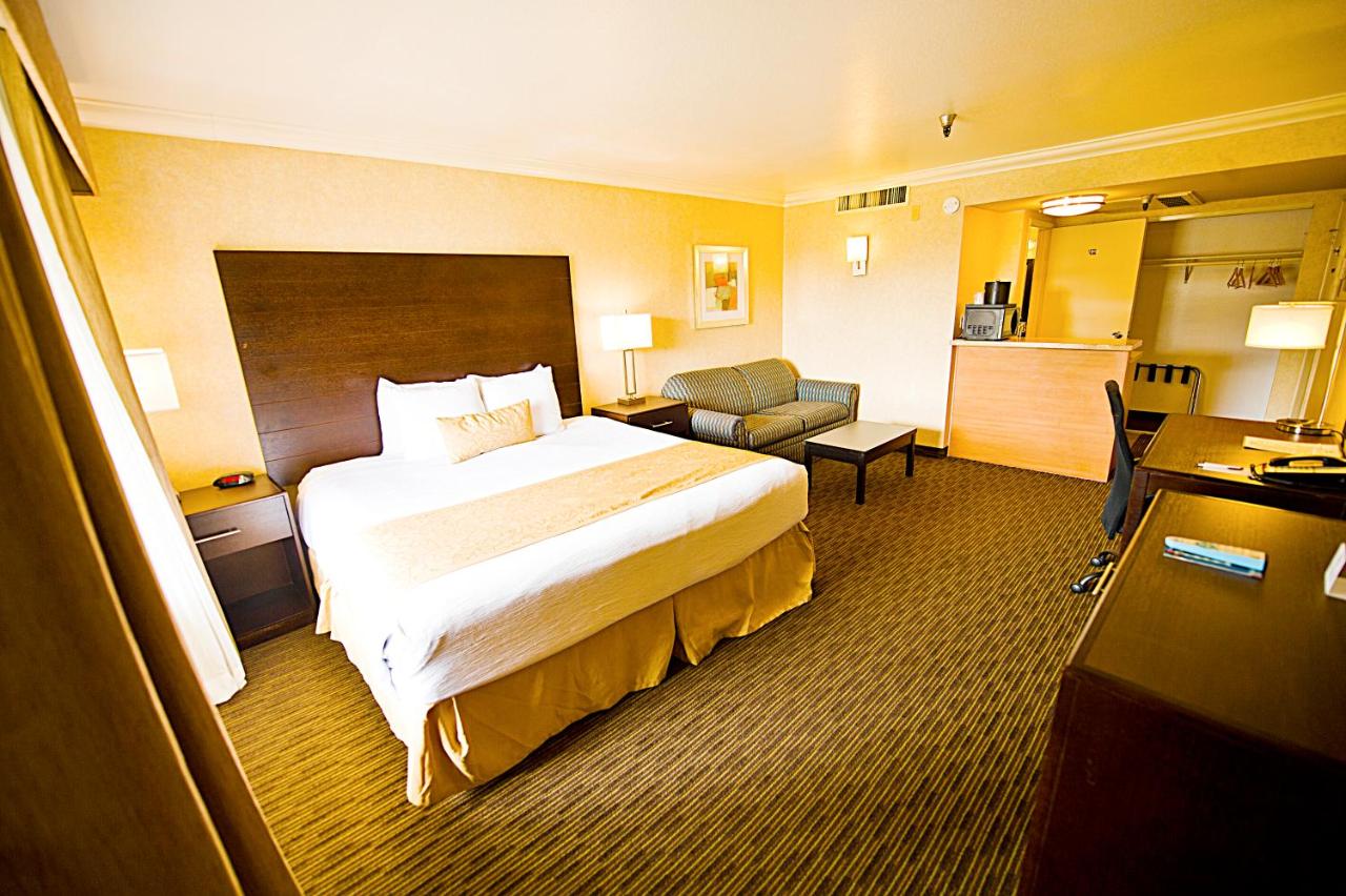 Standard King Room - Freeway View at Hotel d’Lins Ontario Airport