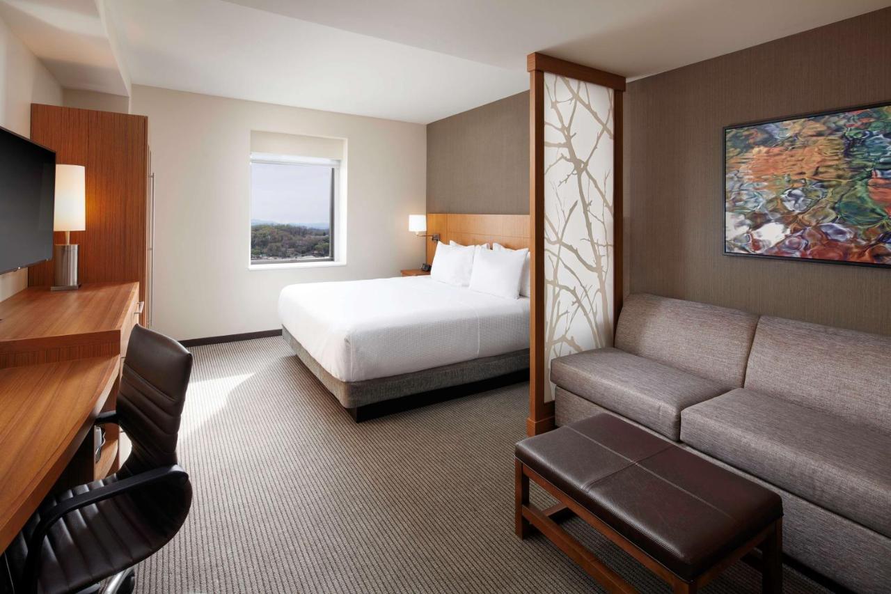 King Room with Bath Tub - Disability Access/Non-Smoking  at Hyatt Place Knoxville Downtown