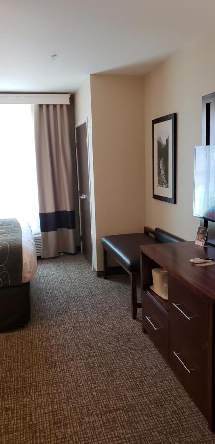 King Suite - Non-Smoking at Comfort Suites Denver near Anschutz Medical Campus
