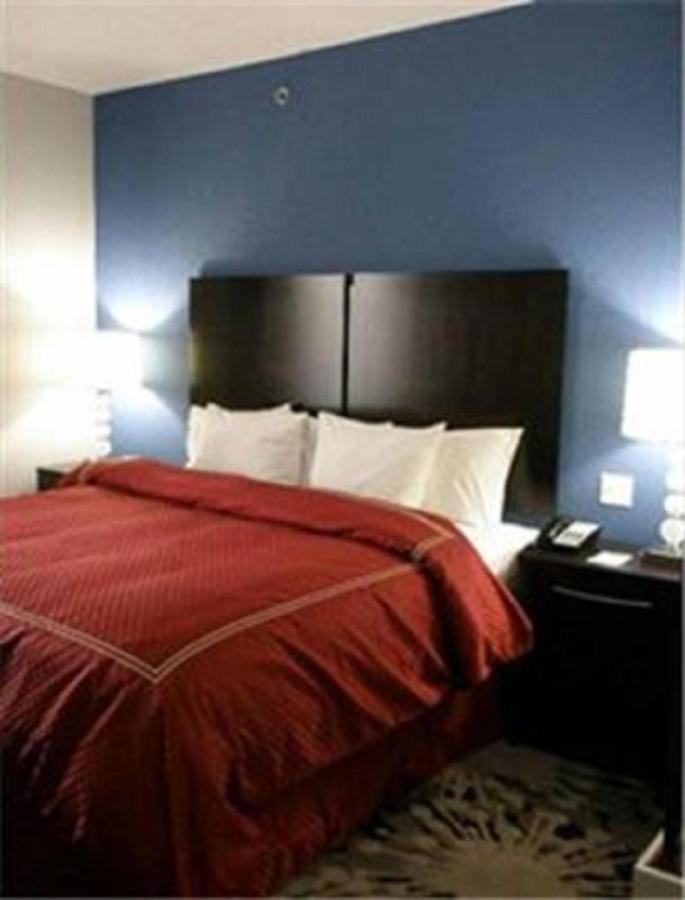 King Suite with Sofa Bed - Non-Smoking at Comfort Suites Greenville