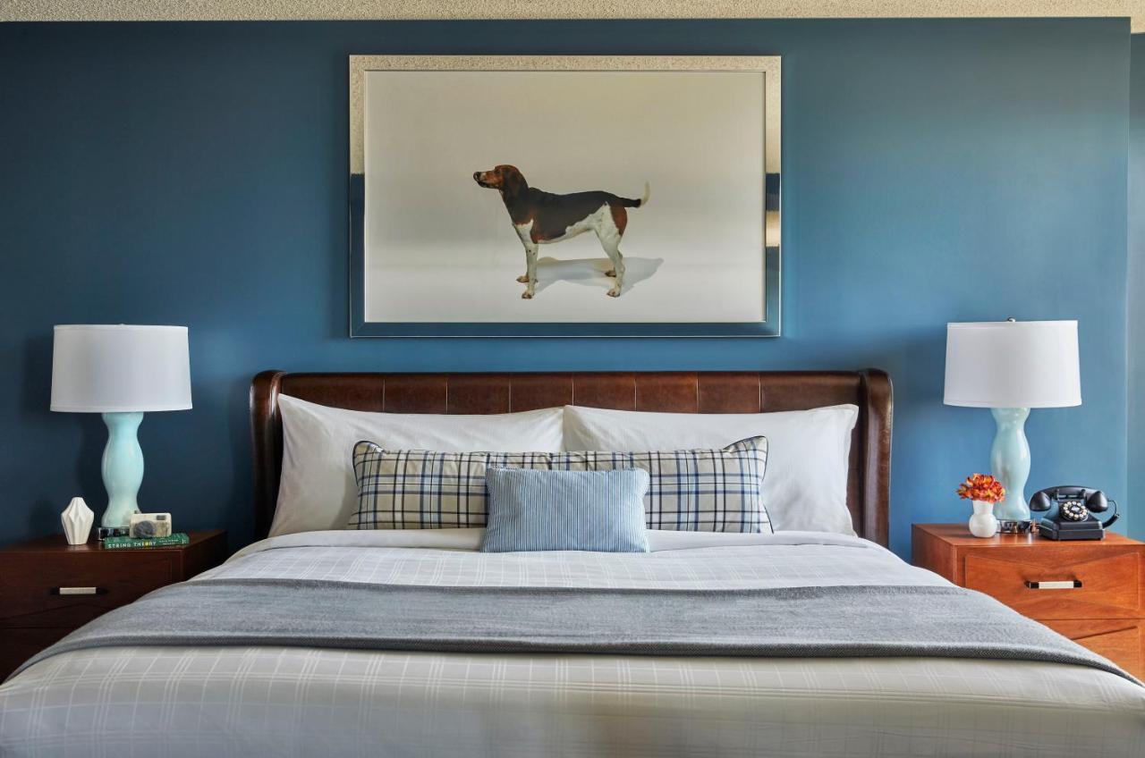 Queen Room at Graduate by Hilton Richmond