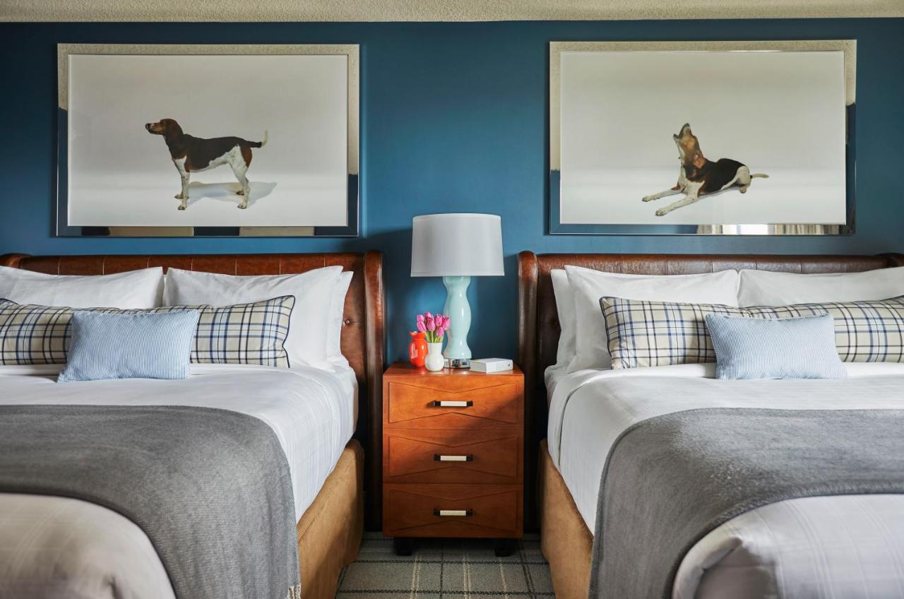 Queen Room with Two Queen Beds at Graduate by Hilton Richmond