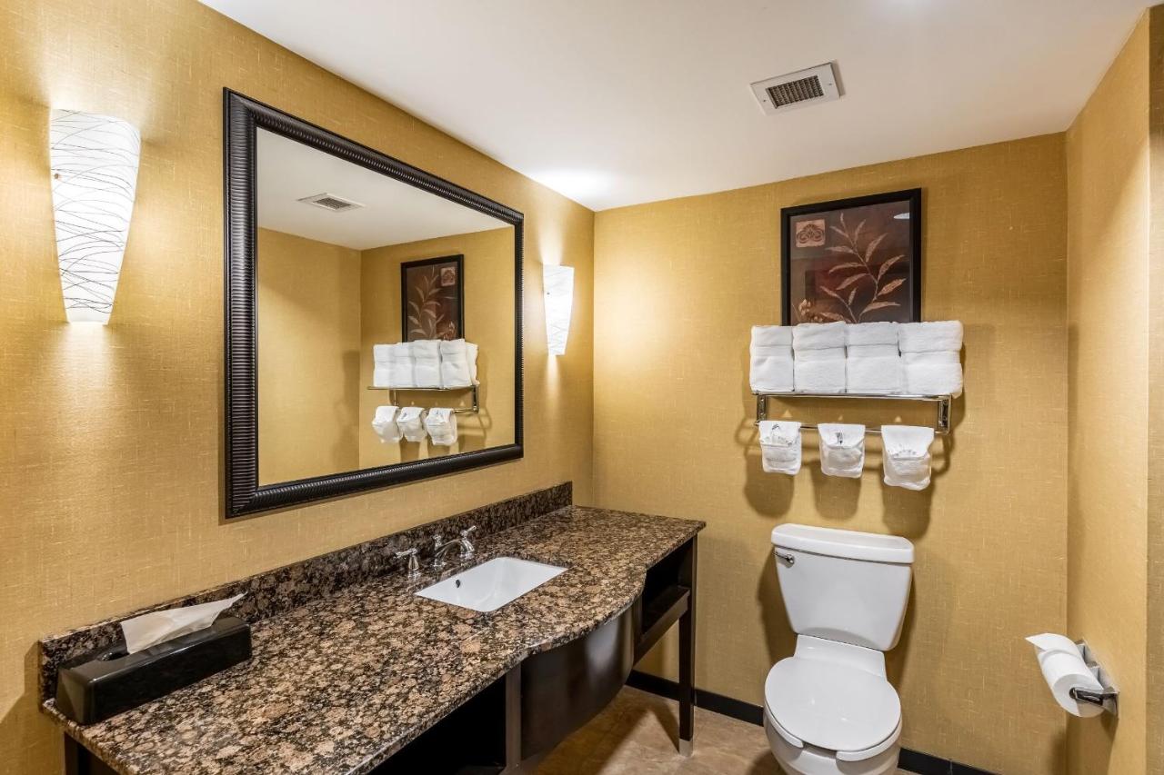 Executive King Suite - Non-Smoking at Comfort Suites Lexington