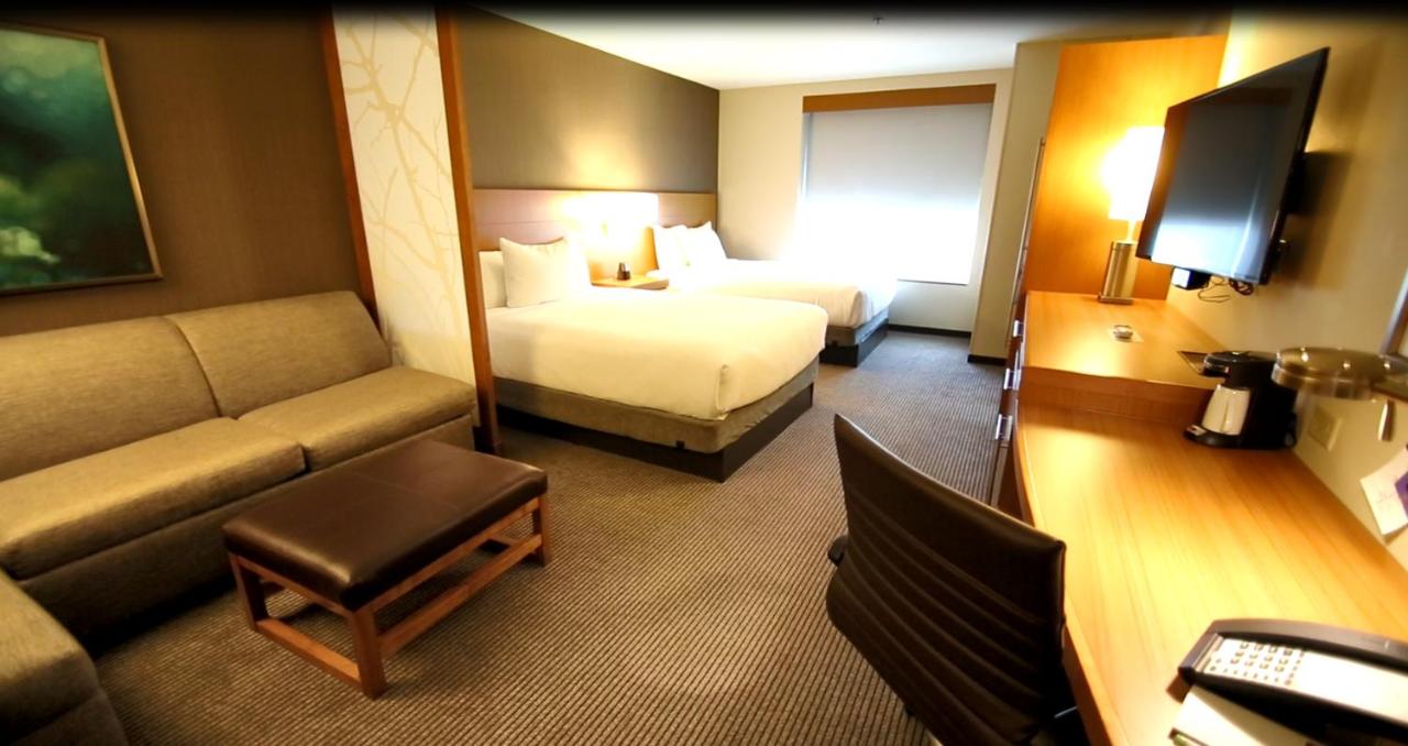 Queen Sofabed at Hyatt Place DFW