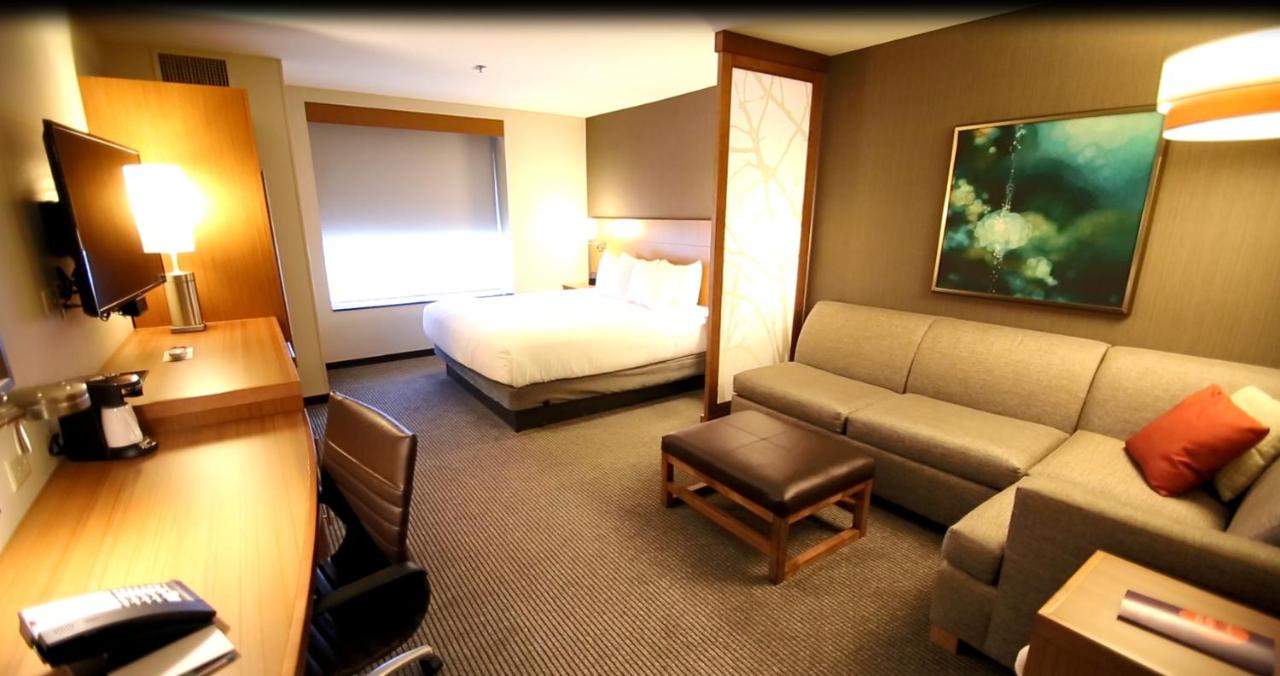 High Floor King, Sofabed at Hyatt Place DFW