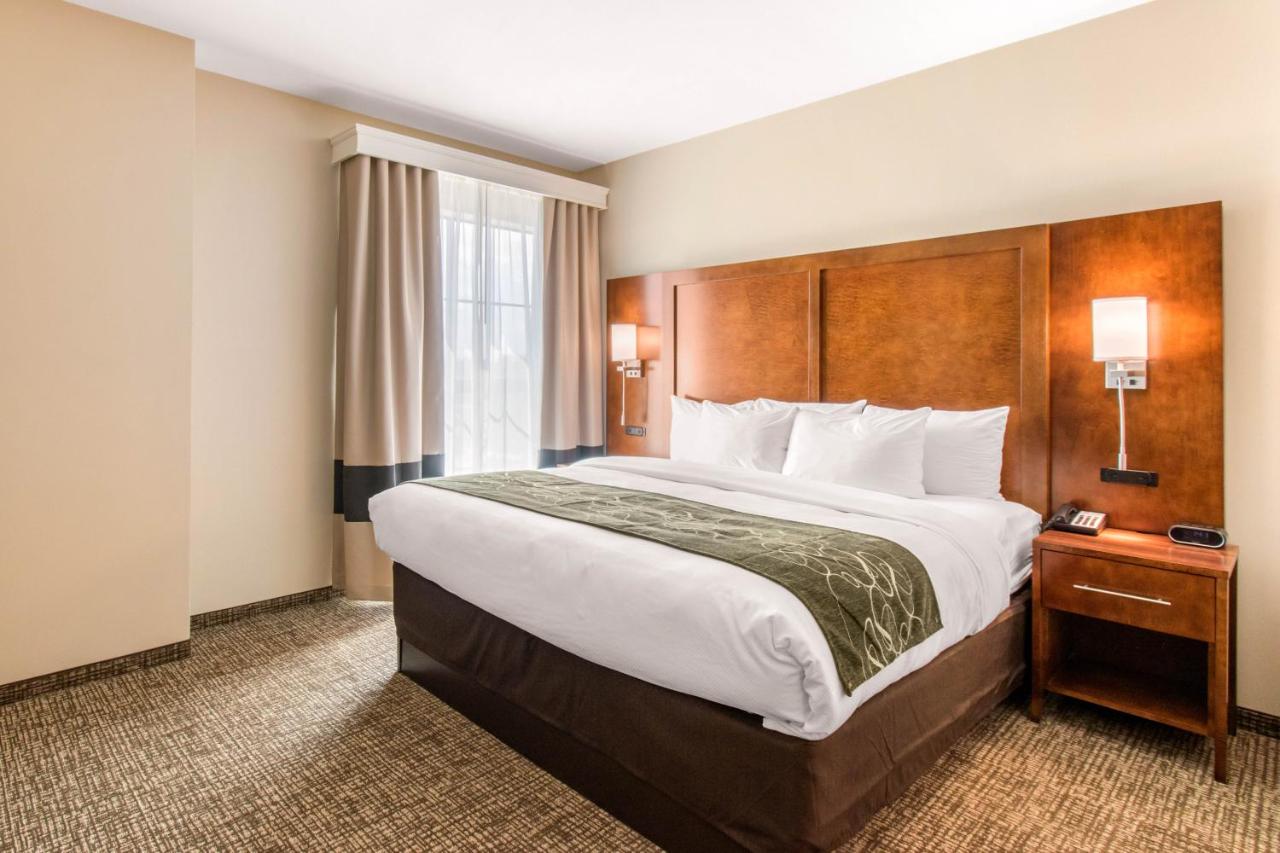 King Suite - Non-Smoking at Comfort Suites Denver near Anschutz Medical Campus