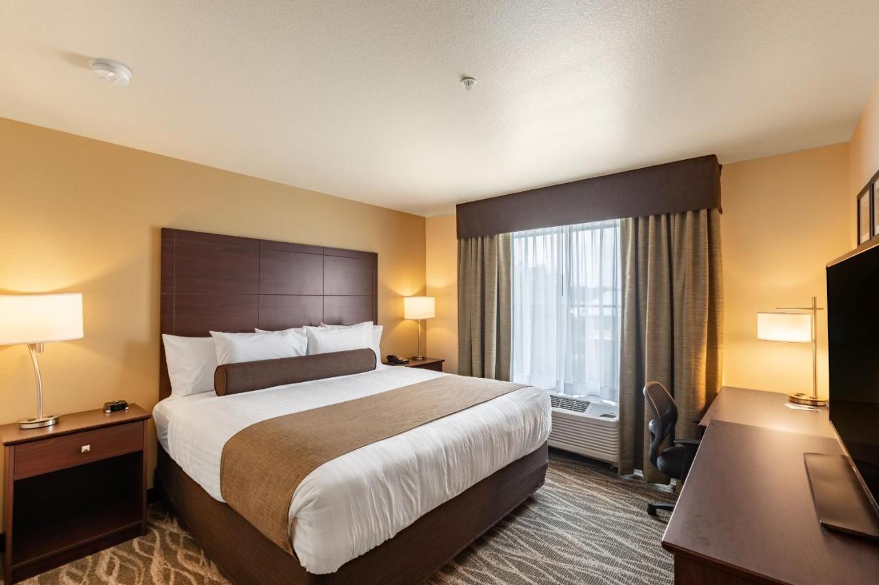 Studio at Cobblestone Hotel & Suites – Stevens Point