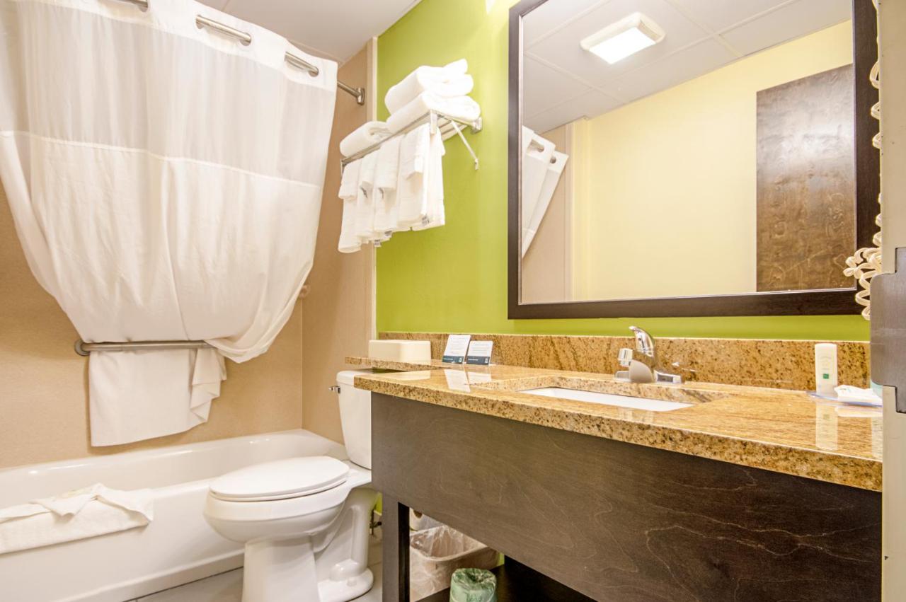 King Suite with Sofa Bed - Non-Smoking at Quality Inn & Suites Glenmont - Albany South