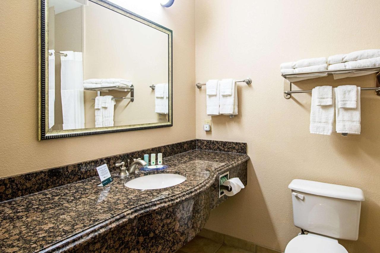 King Suite with Sofa Bed - Non-Smoking at Quality Inn & Suites