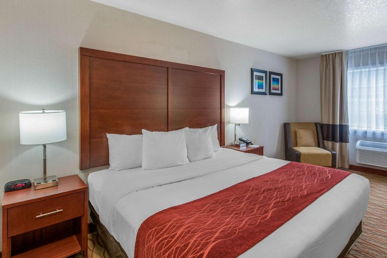 King Room - Non-Smoking at Comfort Inn Mount Shasta Area