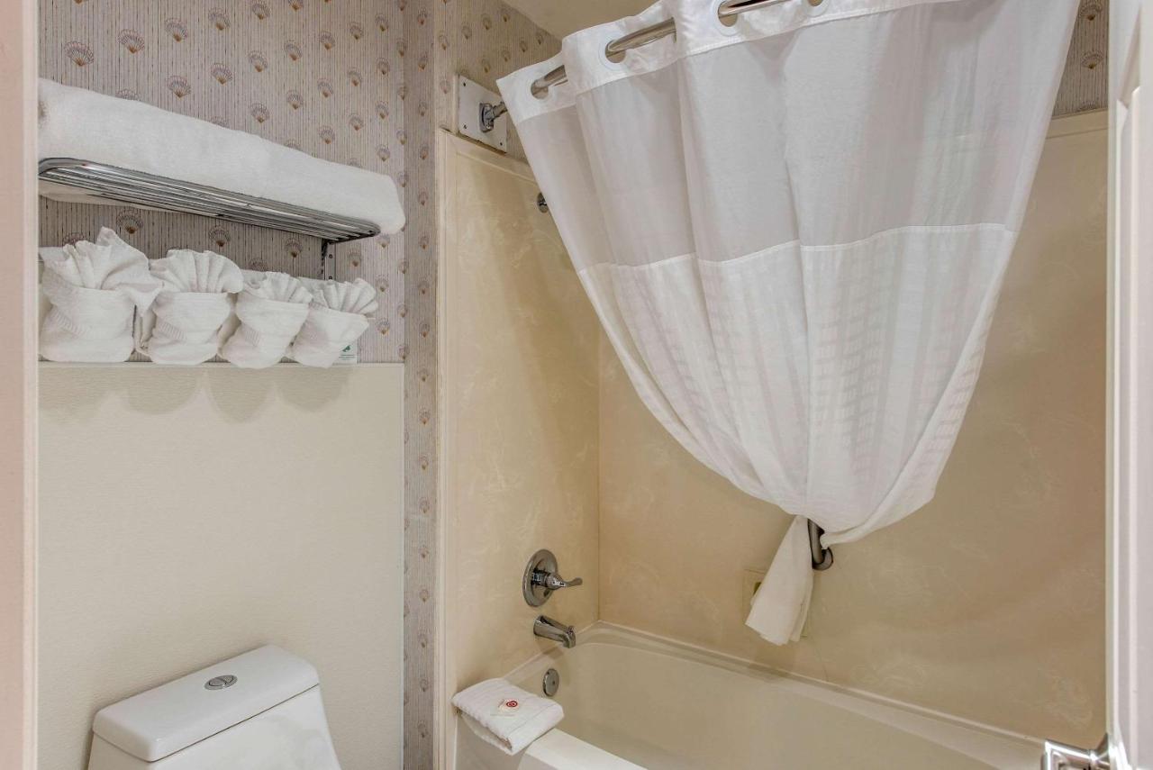 Queen Room with Two Queen Beds - Non-Smoking at Comfort Inn Mount Shasta Area