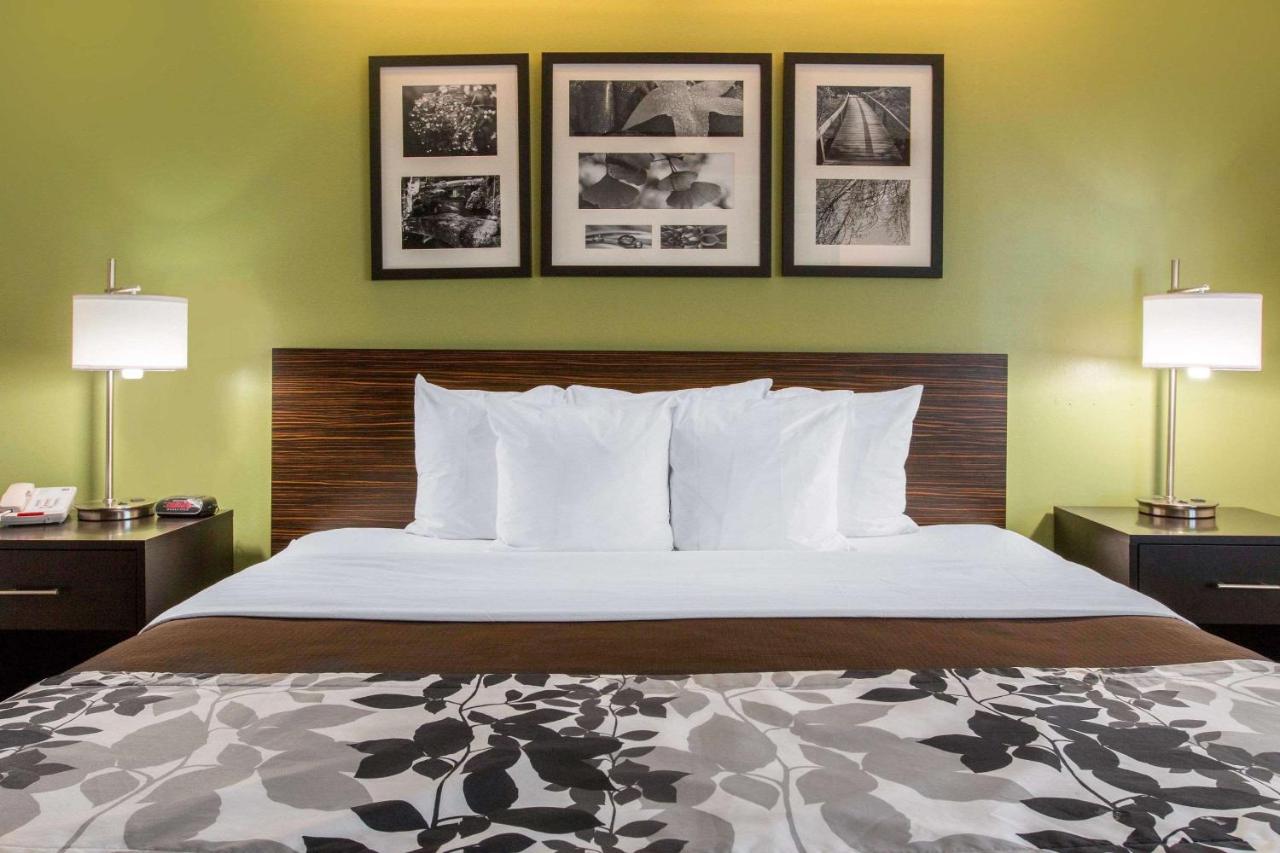 King Room - Non-Smoking at Sleep Inn And Suites Oregon