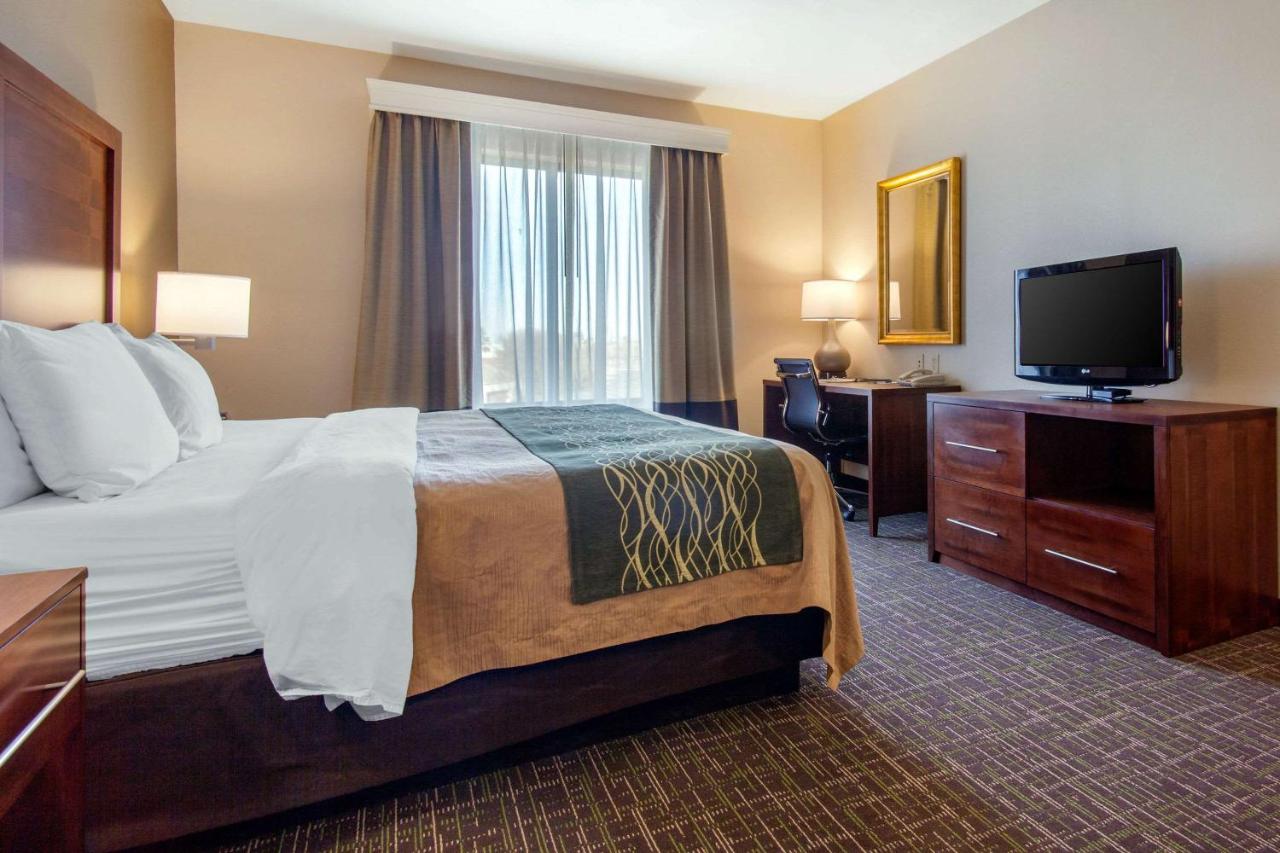 King Room - Non-Smoking at Comfort Inn & Suites Norman near University