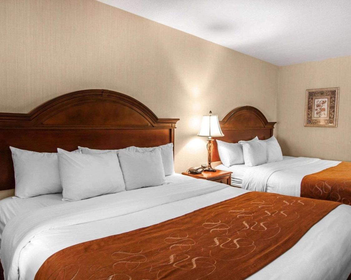 Superior King Suite - Non-Smoking at Comfort Suites Corvallis