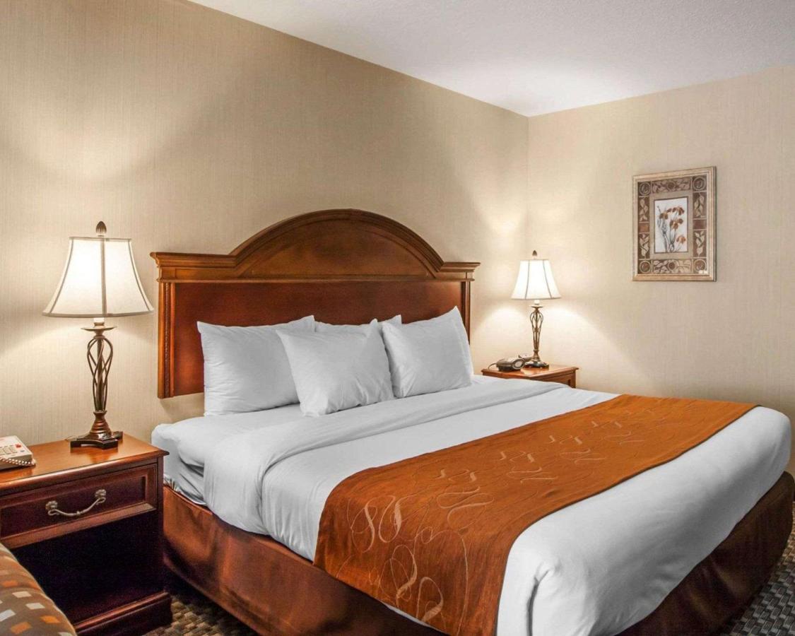 King Suite with Roll-In Shower - Accessible/Non-Smoking at Comfort Suites Corvallis