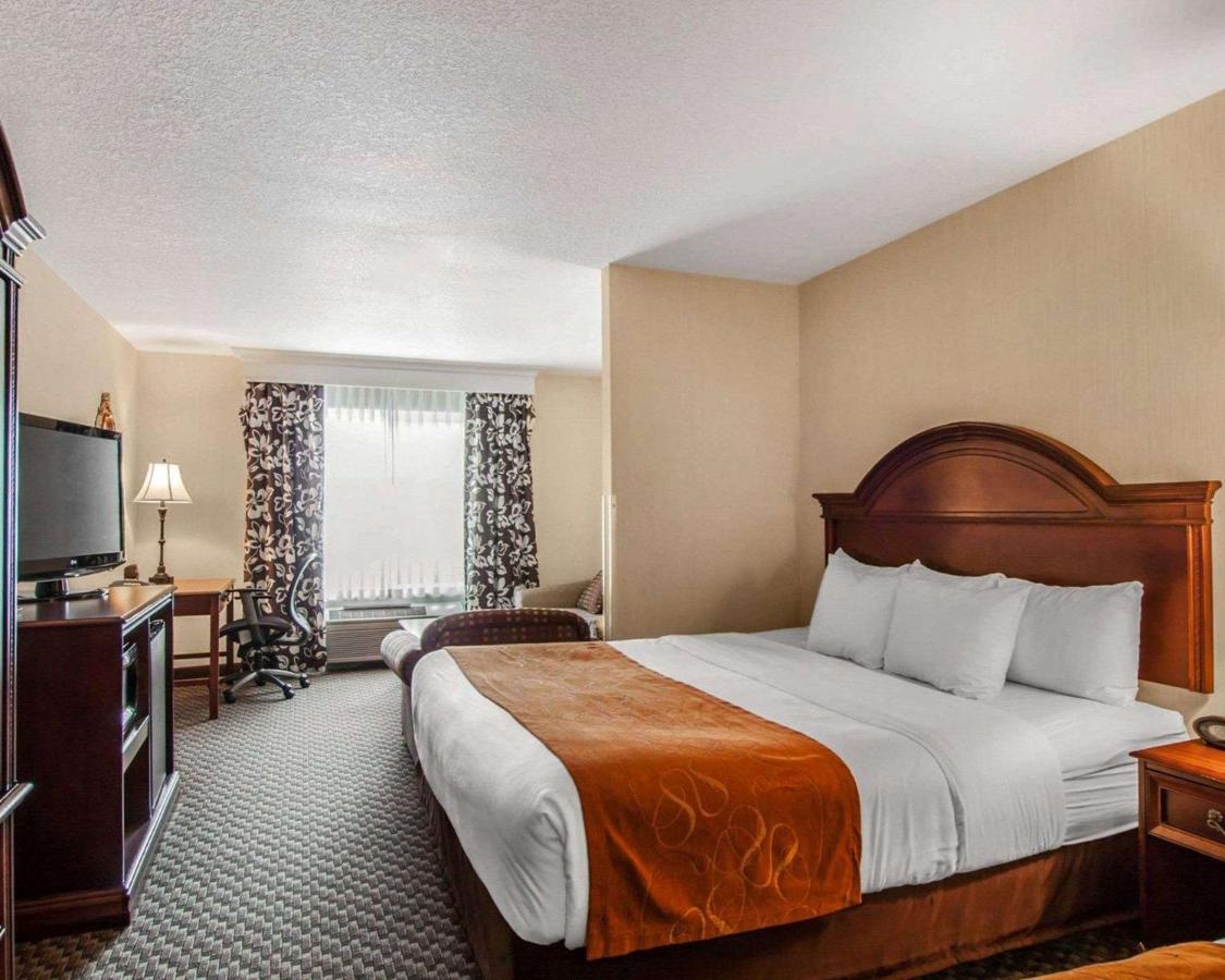Superior King Suite - Non-Smoking at Comfort Suites Corvallis