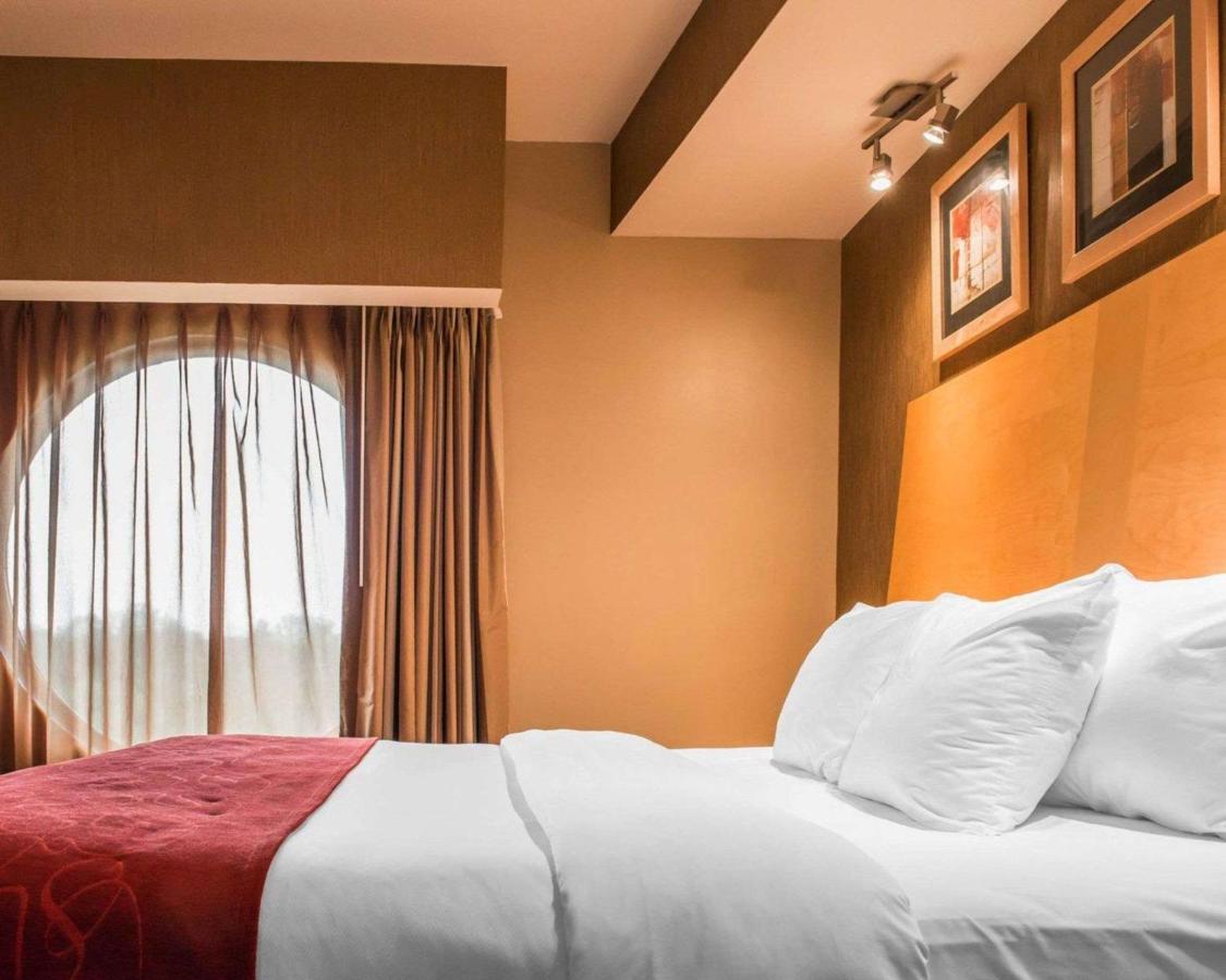 Standard King Suite - Non-Smoking at Comfort Suites Monroeville - Pittsburgh East