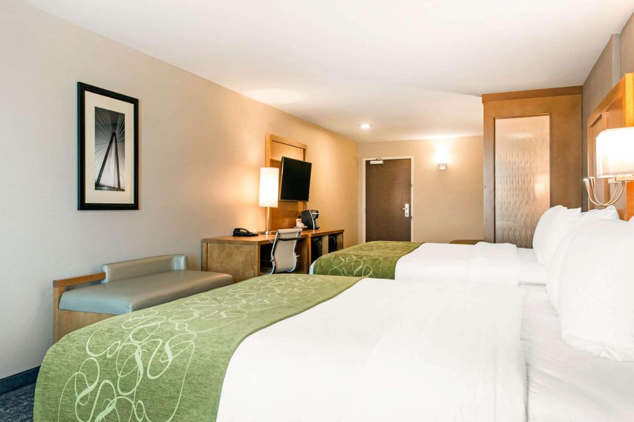 Queen Suite with Two Queen Beds and Sofa Bed - Disability Access at Comfort Suites North Charleston - Ashley Phosphate