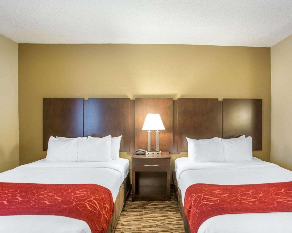 Queen Suite with Sofa Bed - Non-Smoking at Comfort Suites Lebanon
