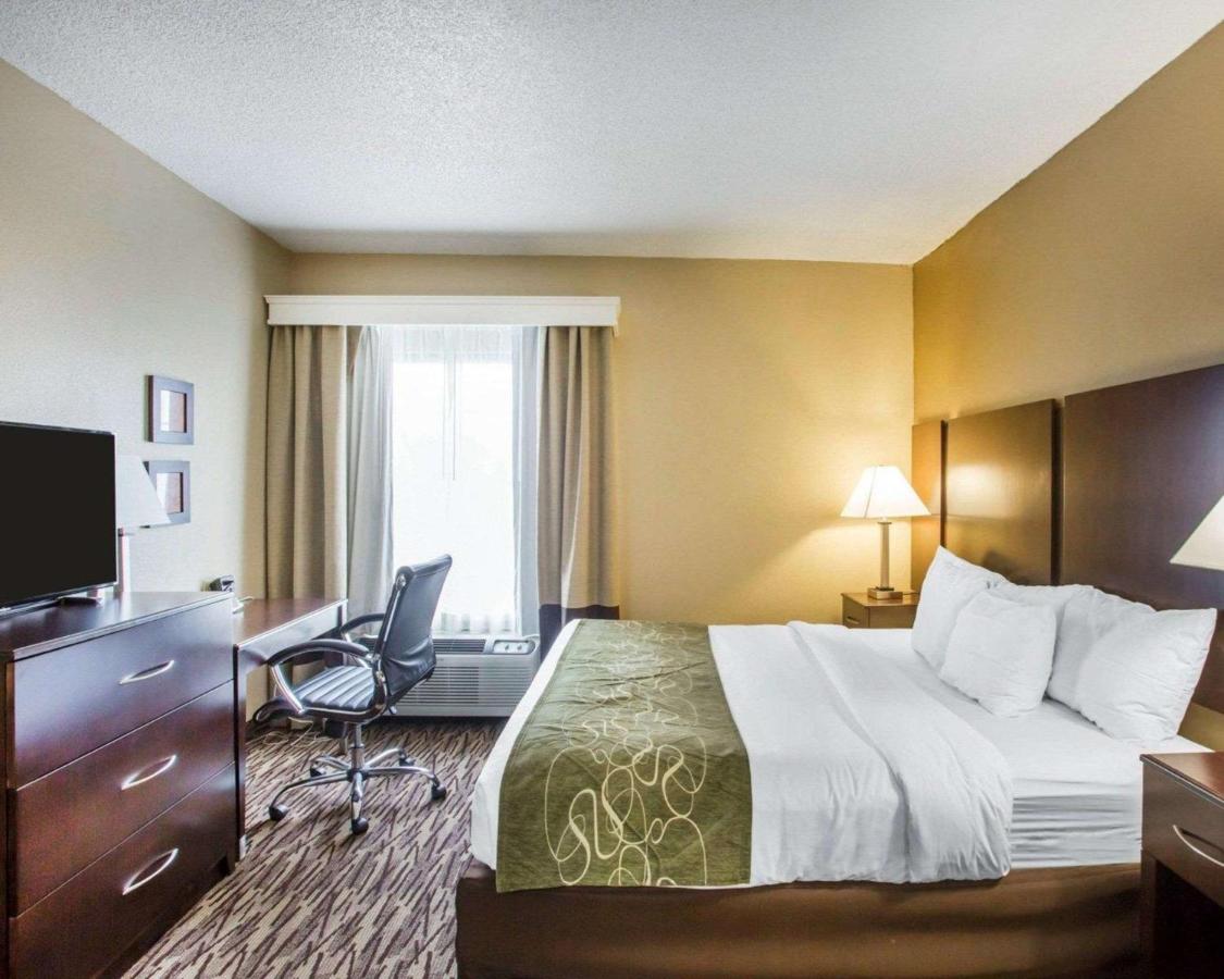 Standard King Room at Comfort Suites Lebanon