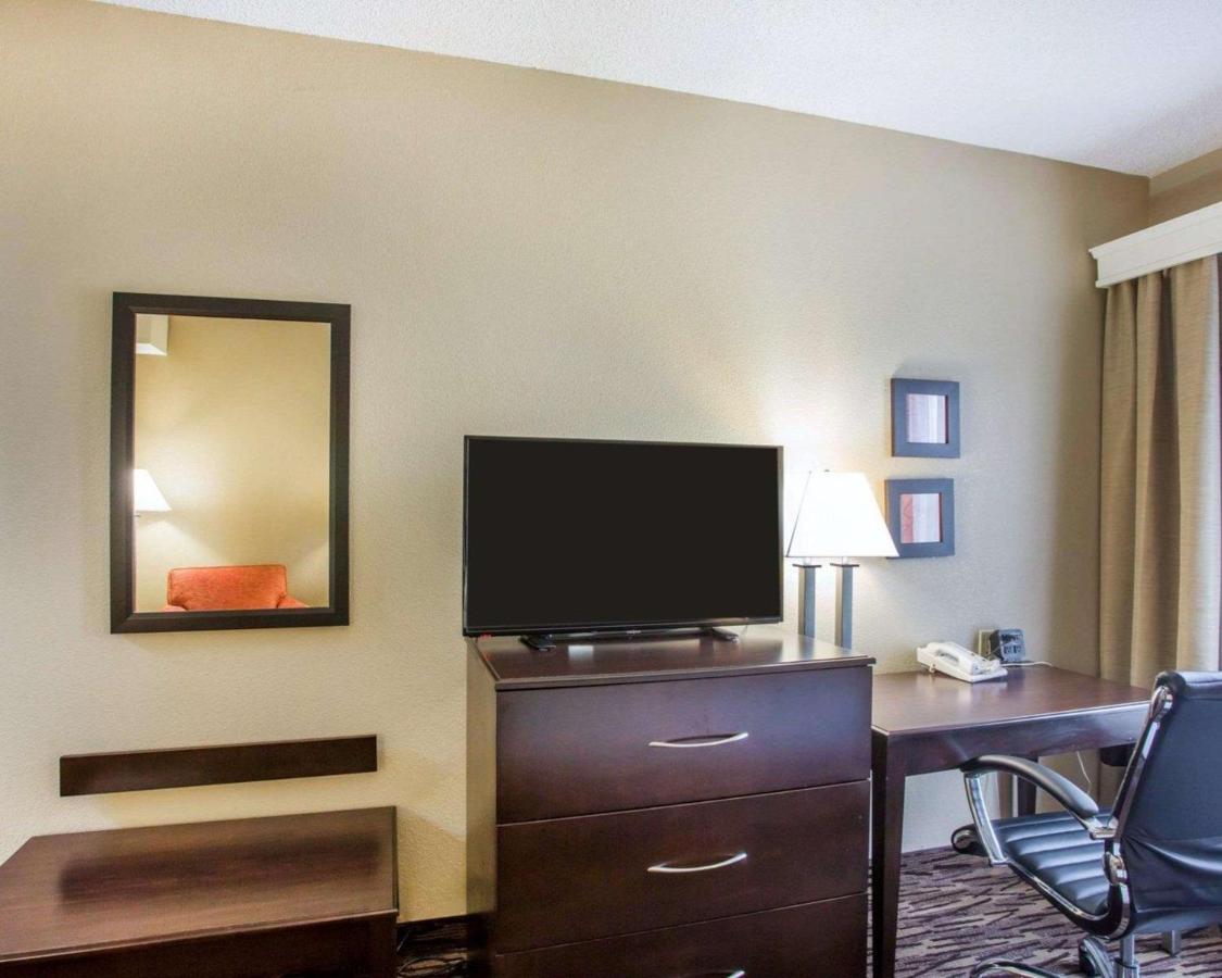 Standard King Room at Comfort Suites Lebanon