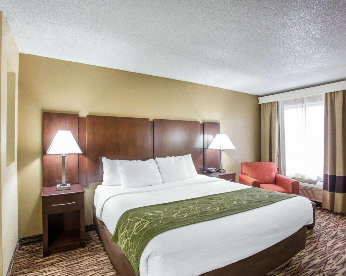 Standard King Room at Comfort Suites Lebanon