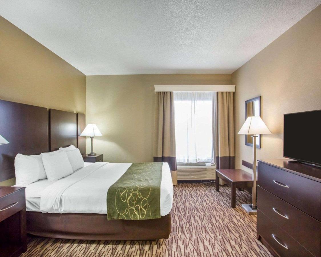 King Suite - Non-Smoking at Comfort Suites Lebanon