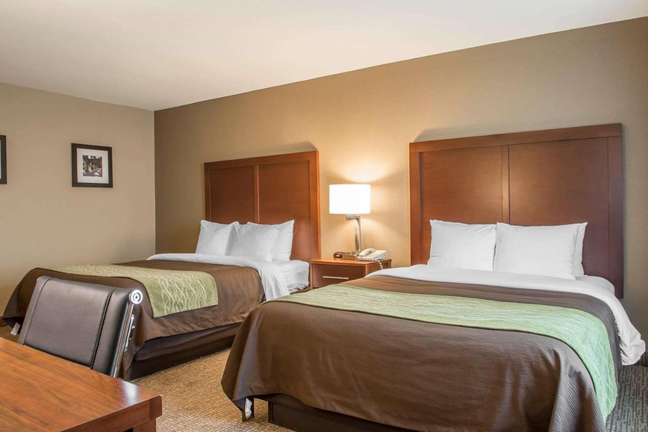 Suite with Two Queen Beds - Accessible/Non-Smoking at Comfort Inn Edinburg South