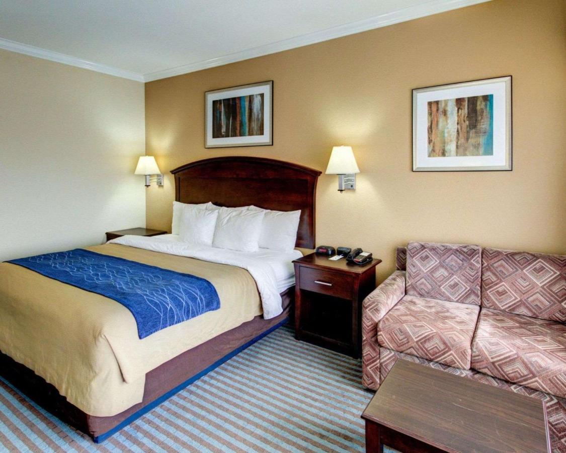 Room #49187008 at Comfort Inn Corsicana East