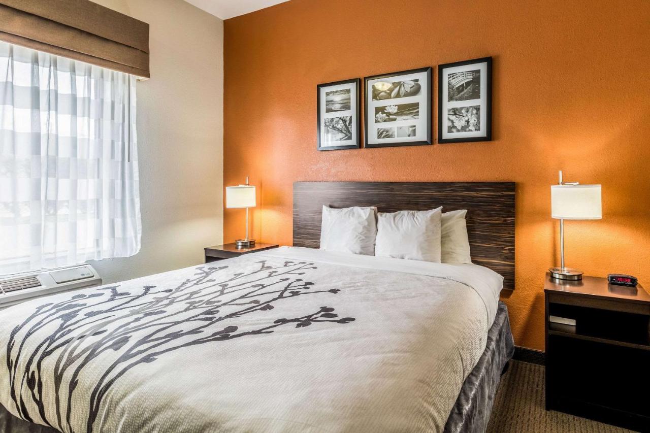 King Room - Disability Access/Non-Smoking at Sleep Inn & Suites Stafford - Sugarland