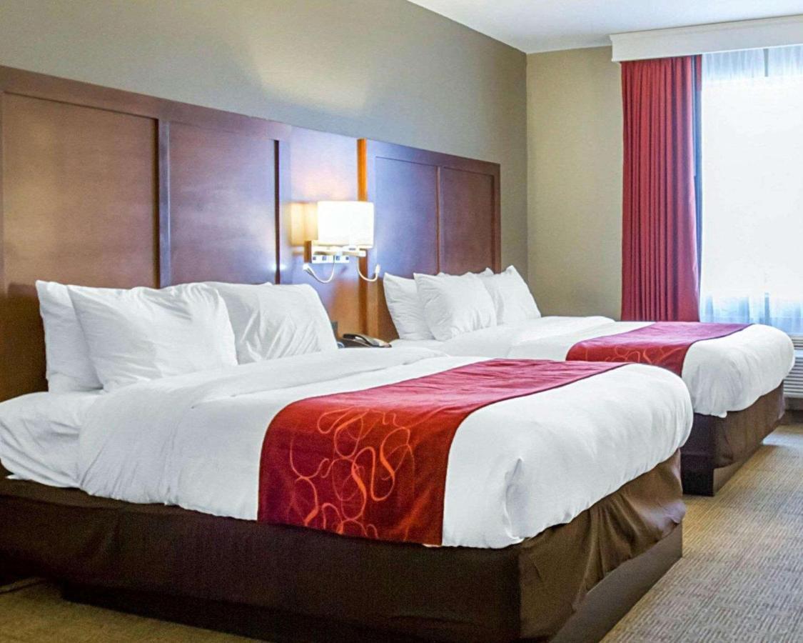 Suite with Two Queen Beds - Non Smoking at Comfort Suites Abilene Central