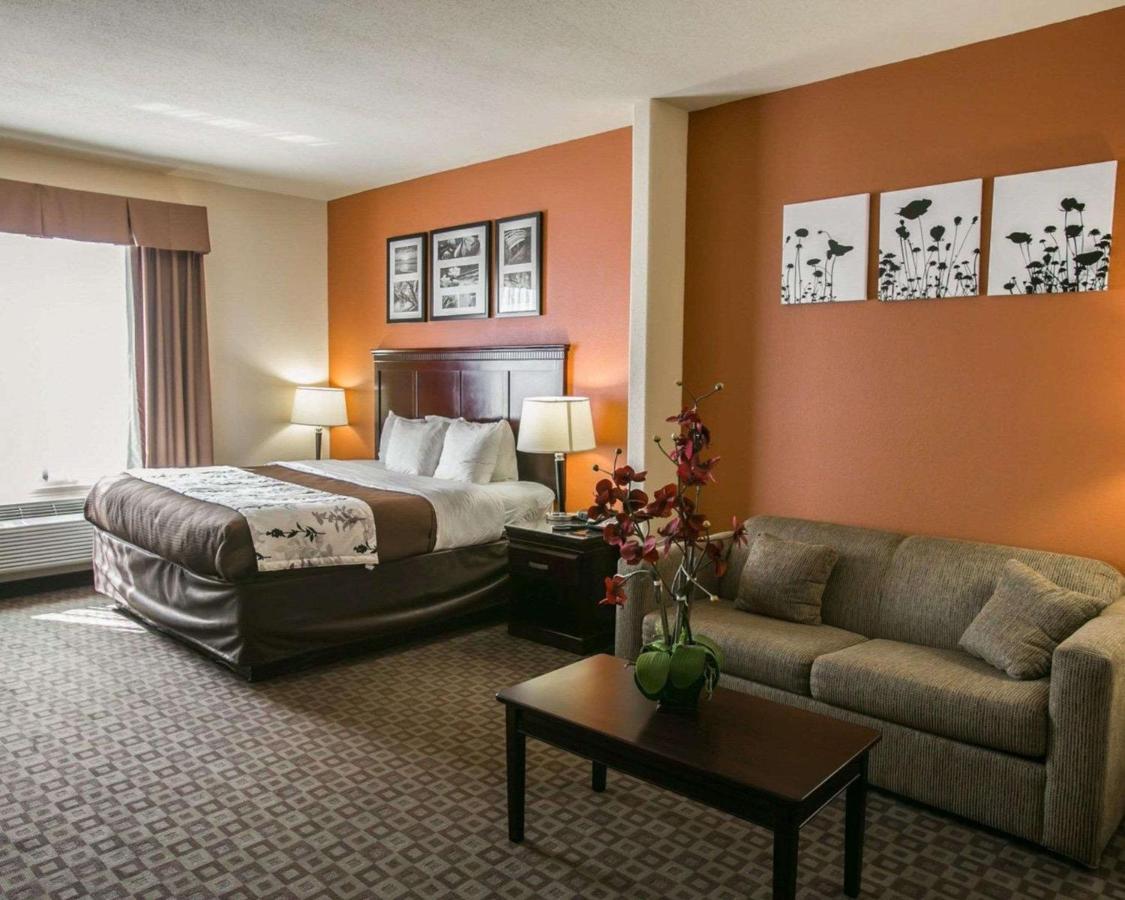 King Suite - Non-Smoking at Sleep Inn & Suites Highway 290/NW Freeway