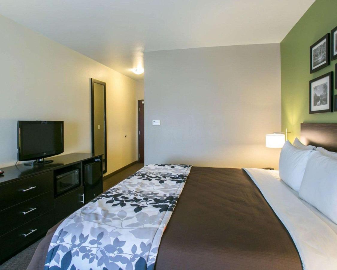 King Room - Non-Smoking at Sleep Inn & Suites Round Rock - Austin North
