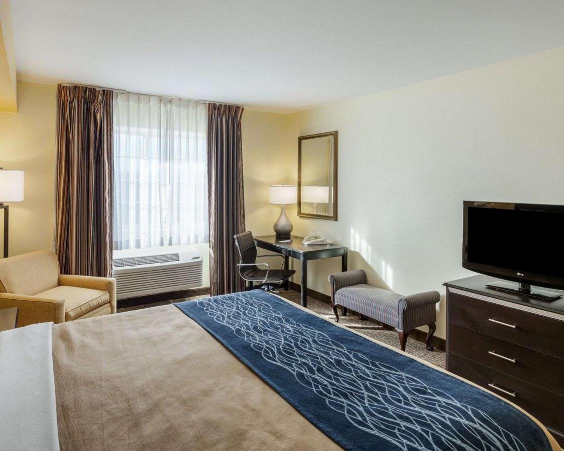 King Room - Disability Access at Comfort Inn & Suites Texas Hill Country