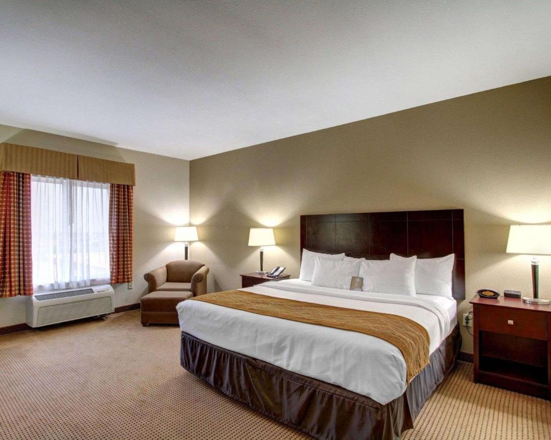 King Room - Non-Smoking at Comfort Inn & Suites Alvarado