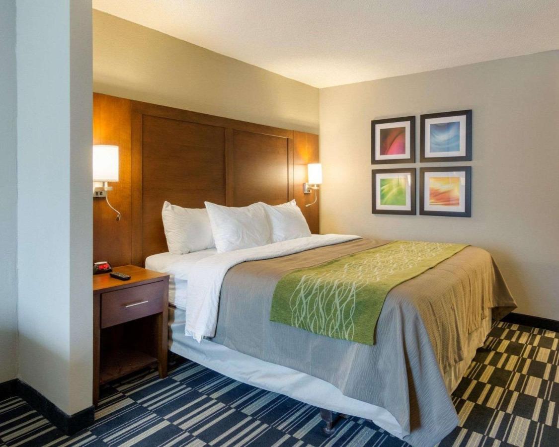 King Suite with Sofa Bed - Non-Smoking at Quality Inn & Suites Ashland near Kings Dominion