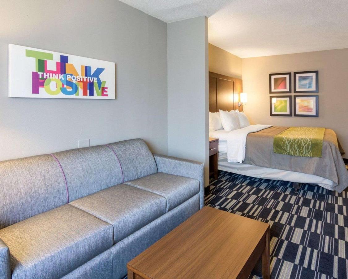 King Suite with Sofa Bed - Non-Smoking at Quality Inn & Suites Ashland near Kings Dominion