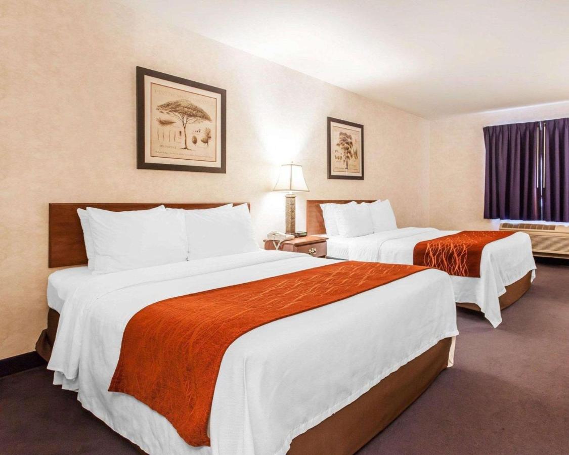 Queen Room with Two Queen Beds - Non-Smoking at Holiday Inn Express & Suites Tumwater – Olympia by IHG