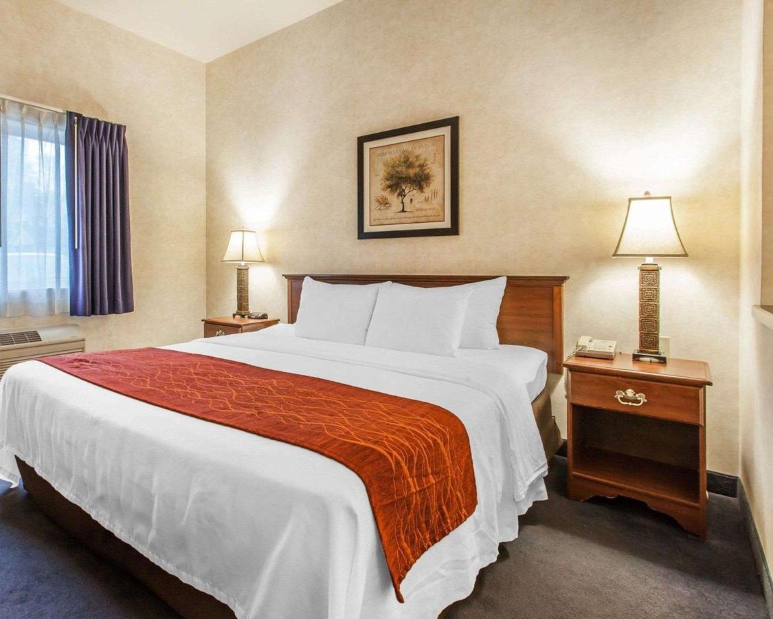 King Room - Non-Smoking at Holiday Inn Express & Suites Tumwater – Olympia by IHG